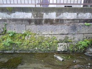 DSCN2178